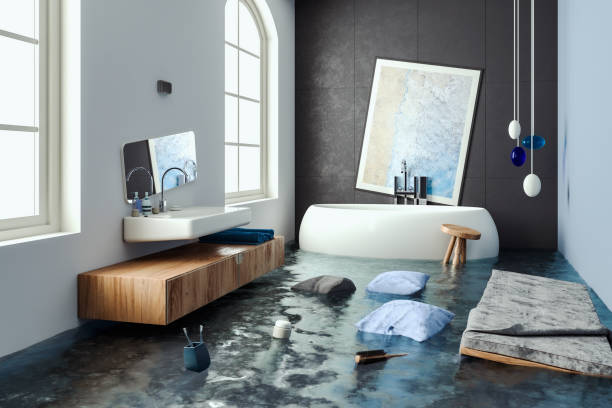 Best Water damage cleanup near me  in Chester, SC