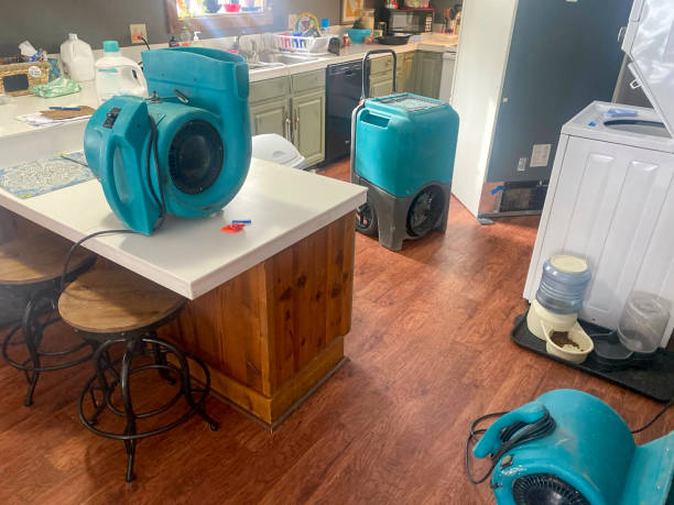 Best Sewage cleanup and water damage restoration  in Chester, SC