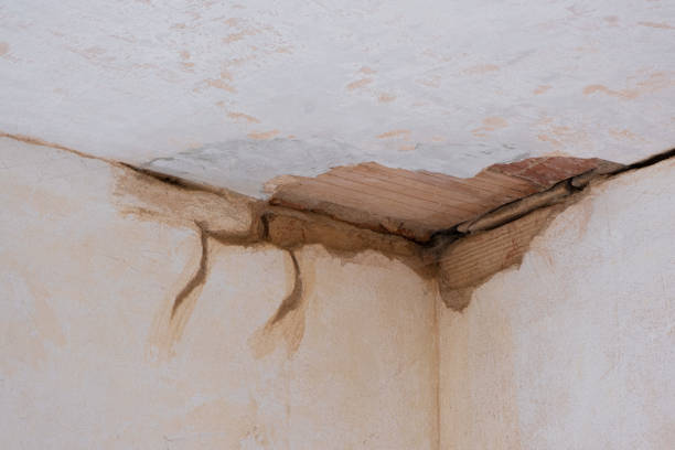 Best Residential water damage restoration  in Chester, SC