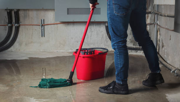 Best Ceiling water damage repair  in Chester, SC