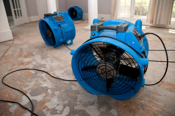 Best Basement water damage restoration  in Chester, SC