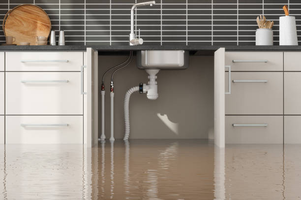 Best Flooded house restoration  in Chester, SC
